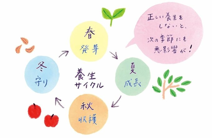 養生サイクルのイラスト