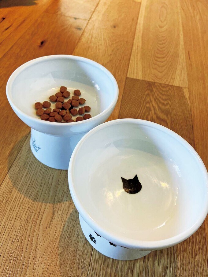 「猫壱」の脚つきフードボウル