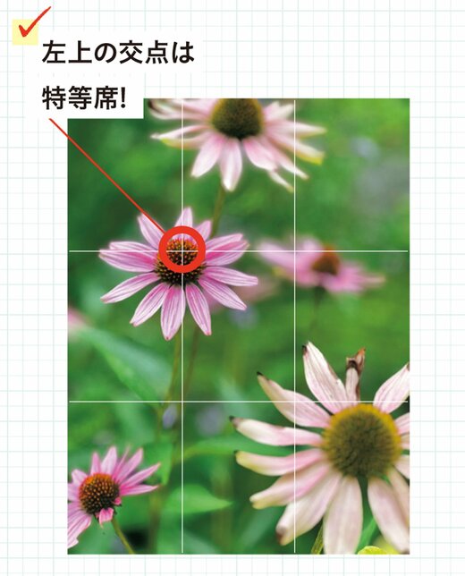 グリッド線の入った花の写真
