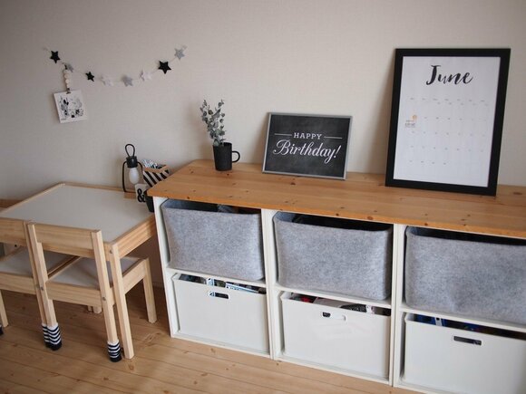 ニトリで買ったプラケースとフェルトケース。