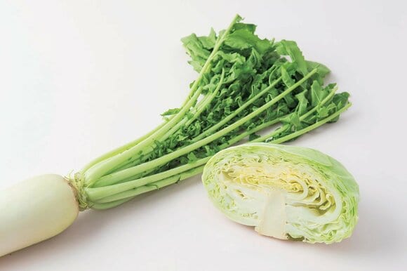 大根とキャベツ