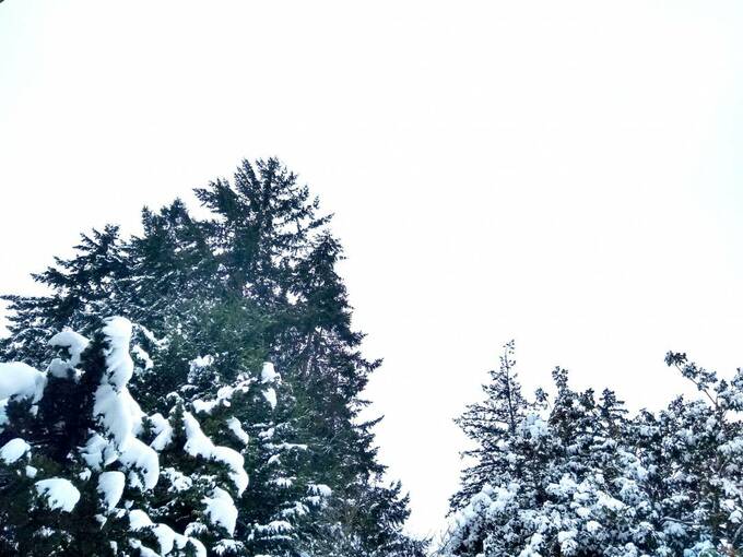 雪事情