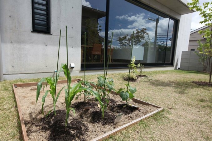 庭の端には砂場兼家庭菜園