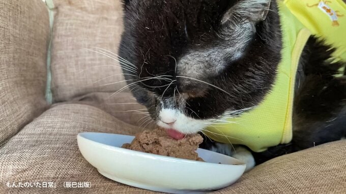 「釜めし」を食べるもんた。(写真・もんたの飼い主)