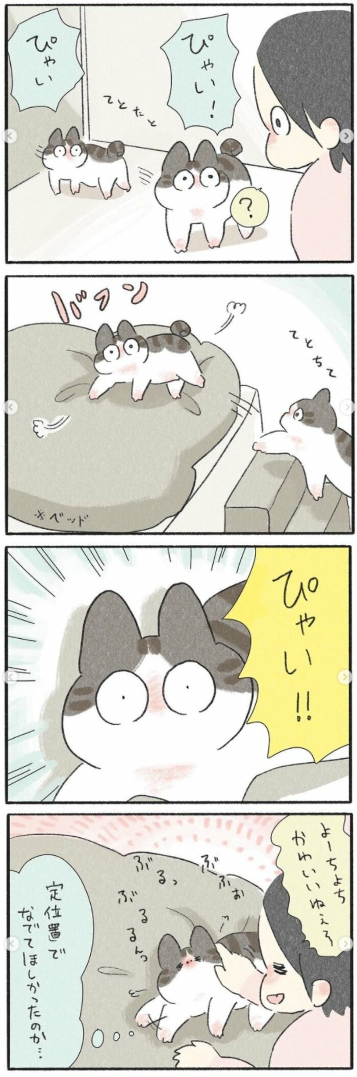 ねこぽんずページ 2匹のネコチャンとの暮らしは甘く、愛おしい。漫画「くろもとぽんず