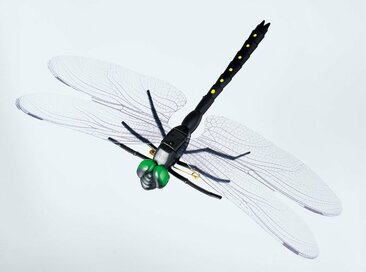 「害虫」と「電気代」の悩みをプチプラで解決。110円・330円で買えるグッズ8つ