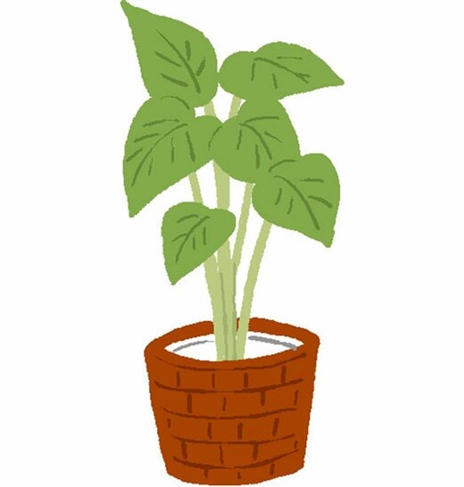 植木鉢イラスト