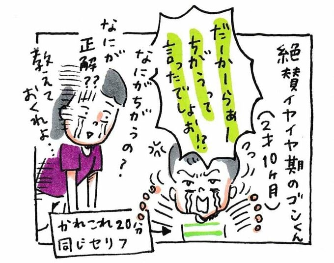 絶賛イヤイヤ期のゴンくん