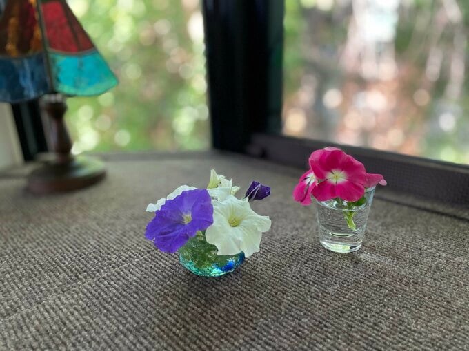 ベランダで育てた小さなお花