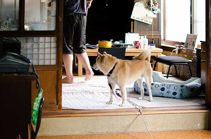 近くにいたがった