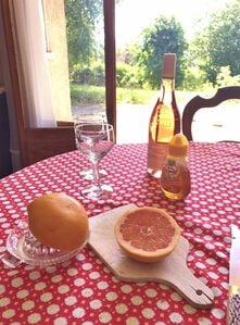 パンプルムース