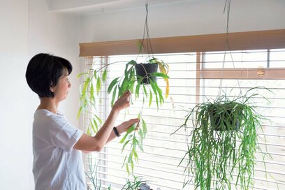 グリーンをセンスよくインテリアに取り入れる！つったり引っかけたり立体的に
