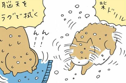 部屋がびちょびちょ！入浴後のわんこが大暴れ＜保護犬マンガ＞