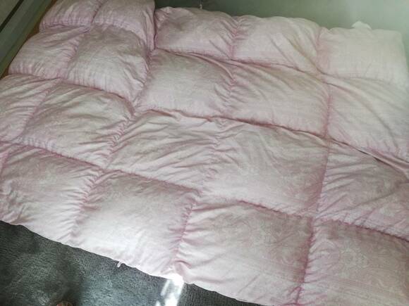 布団や枕も丸洗い