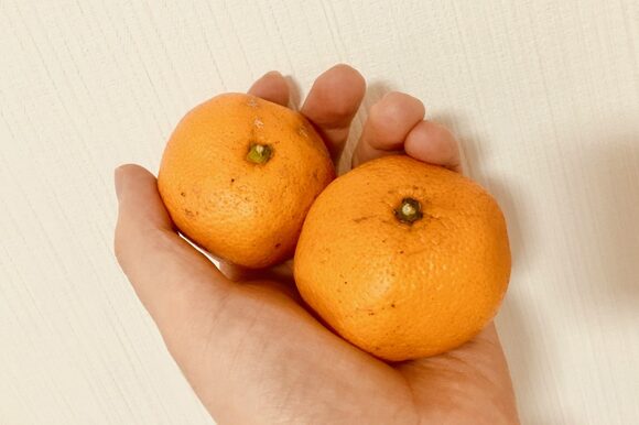 みかん