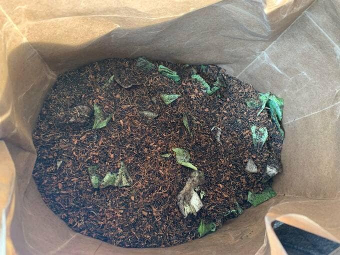 かき混ぜた様子