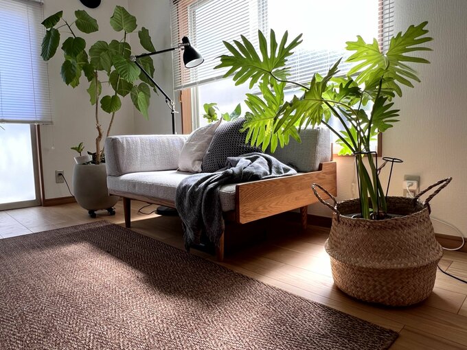 植物鉢カゴ