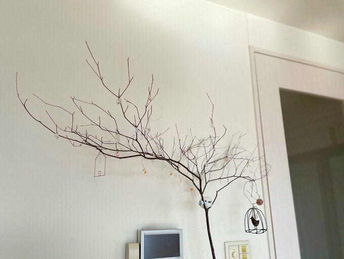 ドウダンツツジの枝