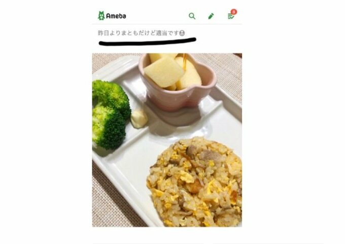 適当ご飯写真
