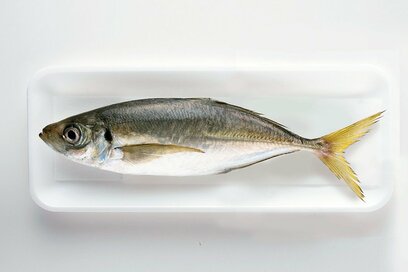 ポイントは目とエラとツヤ、そしてなにより直観。新鮮な魚の選び方