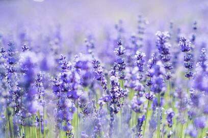 人間関係で孤立しがちな人へ。話題の和尚が届けたい、救いの禅語