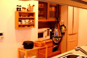 エアプランツインテリアのつくり方