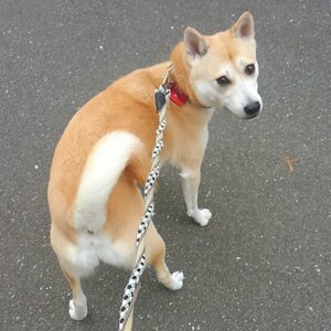 はしゃぎすぎて「ねじねじ」に