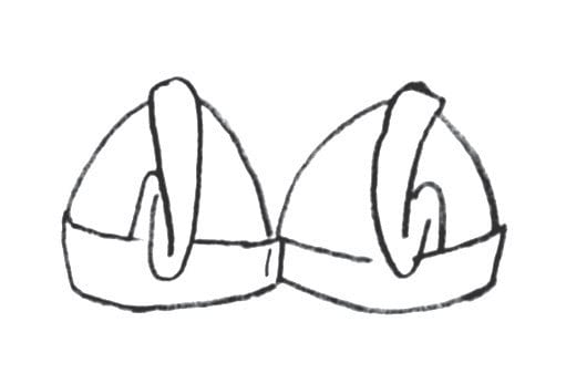 ブラジャーを裏返しにし、ストラップとアンダーベルトをカップの中に収めます。