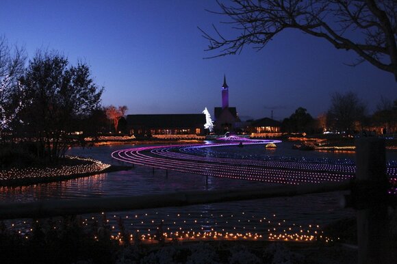イルミネーション撮影