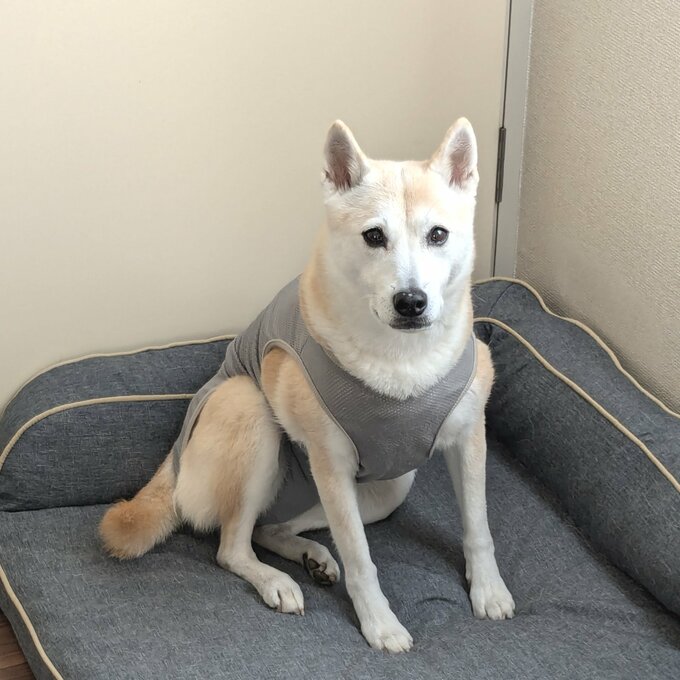 「もうないならいいです」と言っているよう