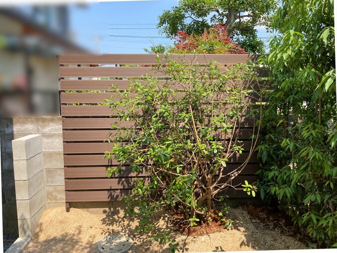 人工木のボーダーフェンス