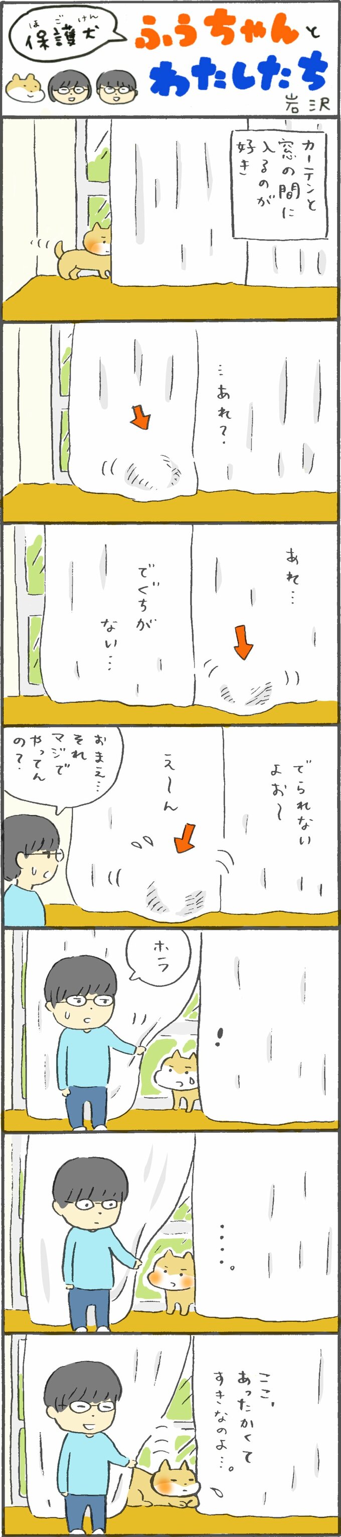 カーテン