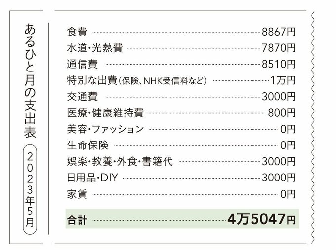 紫苑さんの支出表