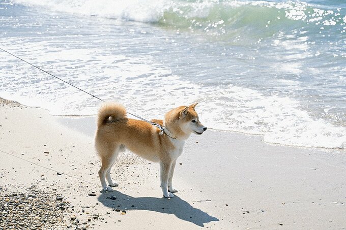 この時間が終わってしまうことを寂しく感じていた