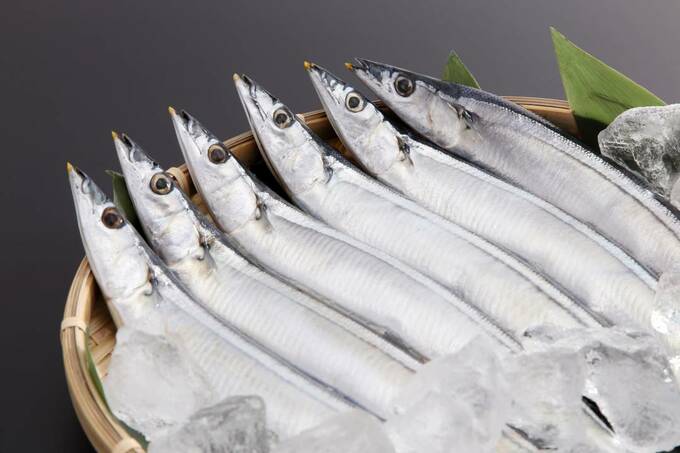 カゴにたくさんのサンマ