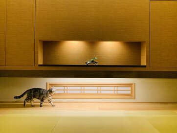 間接照明で家時間が豊かに。毎日満足している人の自邸を紹介