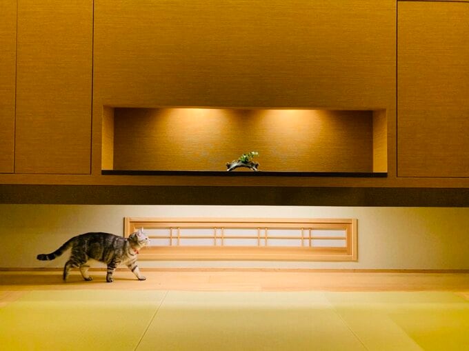 和室の飾り棚と間接照明