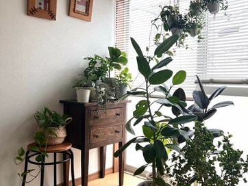 ひとり暮らしの50代が考える「第二の人生」。人と比べず、幸せのハードルを低く　