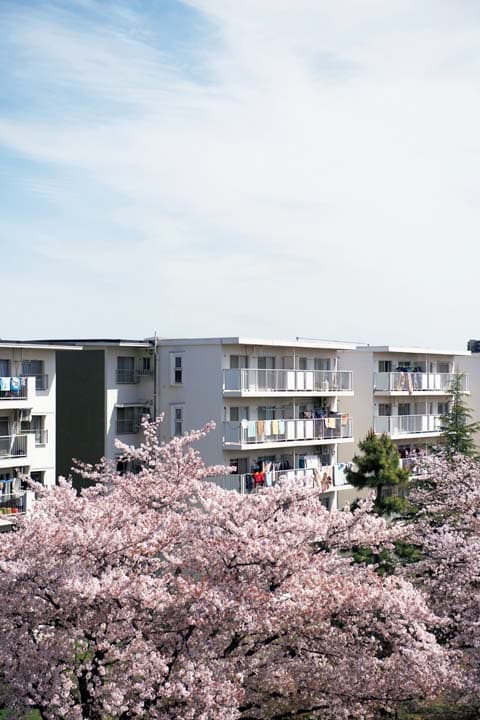 余裕のある敷地に建つ団地