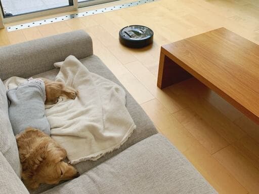 ソファで寝る犬とロボット掃除機