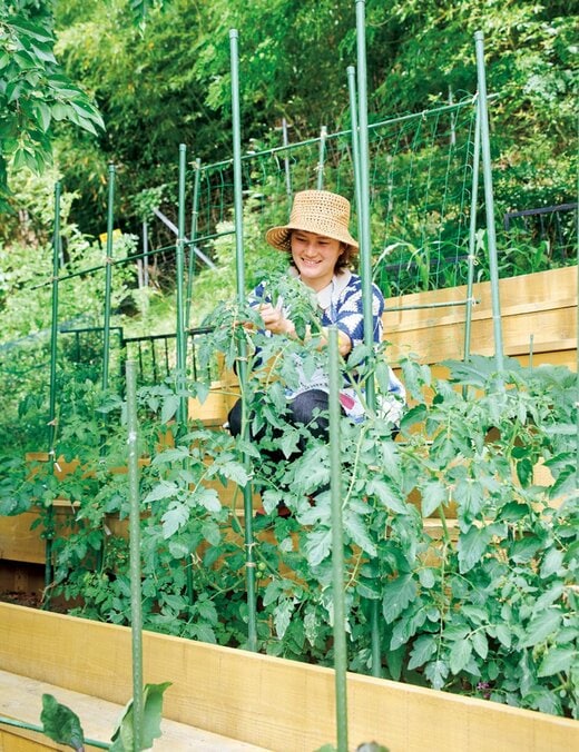 家庭菜園をする女性の姿