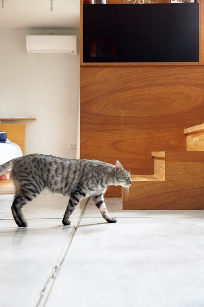 ドッグランとキャットウォークのある家。ペットが健康で安全に暮らせる