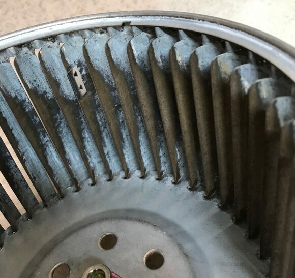 細かいフィンの間