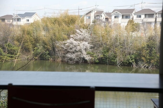 池が見える集中部屋