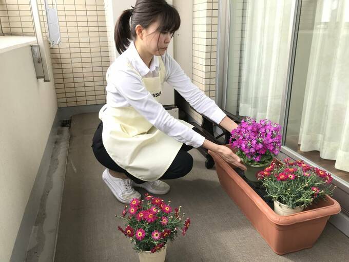 プランターに花を鉢植えのままセット