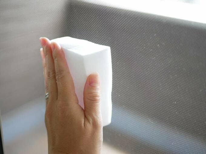 網戸にスポンジ