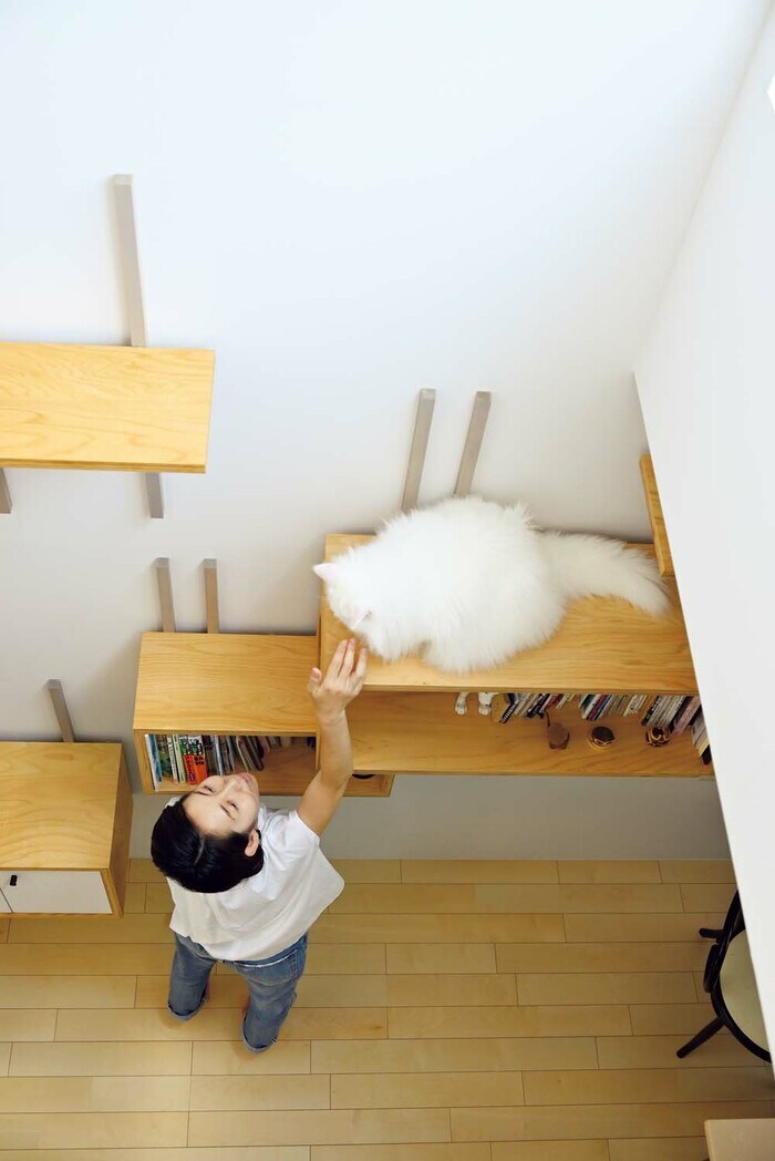 ネコが喜ぶ仕掛け満載の3階住宅。トイレがこんなところに隠れてる