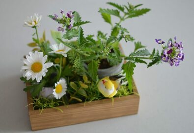 箱庭感覚で楽しもう！100円グッズで始める「寄せ植えボックス」