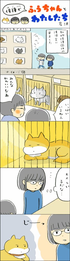 【保護犬マンガ】おめめがとってもキラキラ…。譲渡会でふうちゃんと初対面