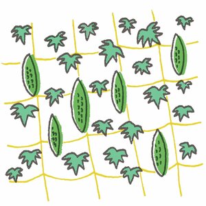 ゴーヤでグリーンカーテン